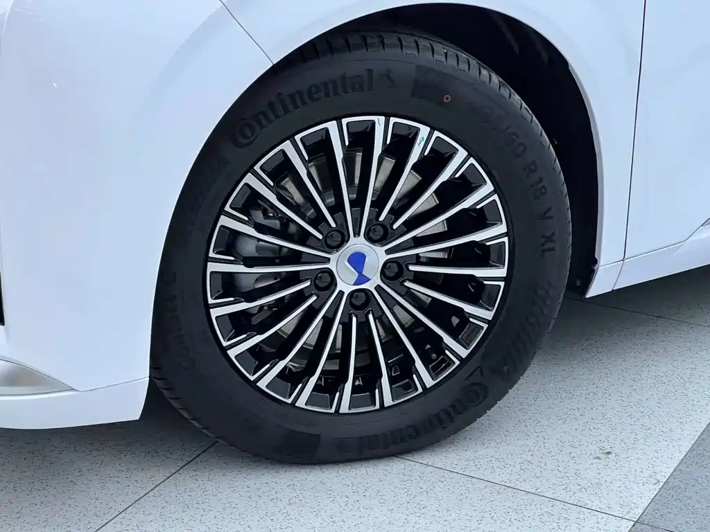 Tengri D9 2024 Model DM-i 980 All-wheel Drive Prestige Edition