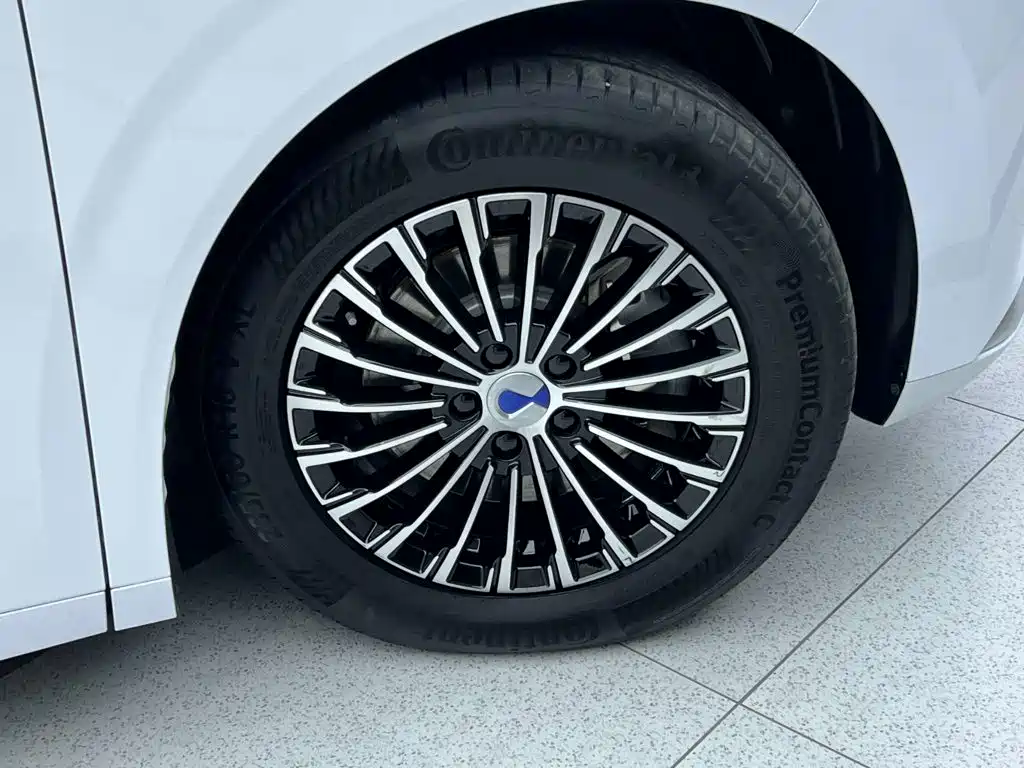 Tengri D9 2024 Model DM-i 980 All-wheel Drive Prestige Edition