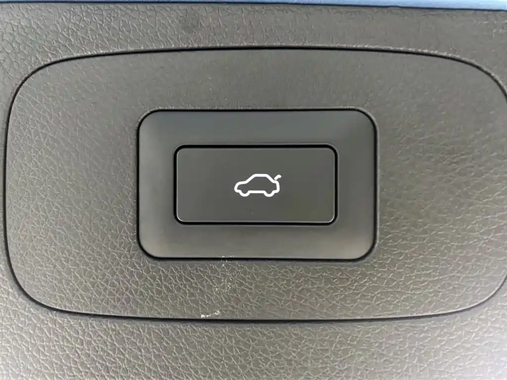 Ruihu 8 PLUS C-DM 2025 Edition 1.5T 116km Prestige 5-seat