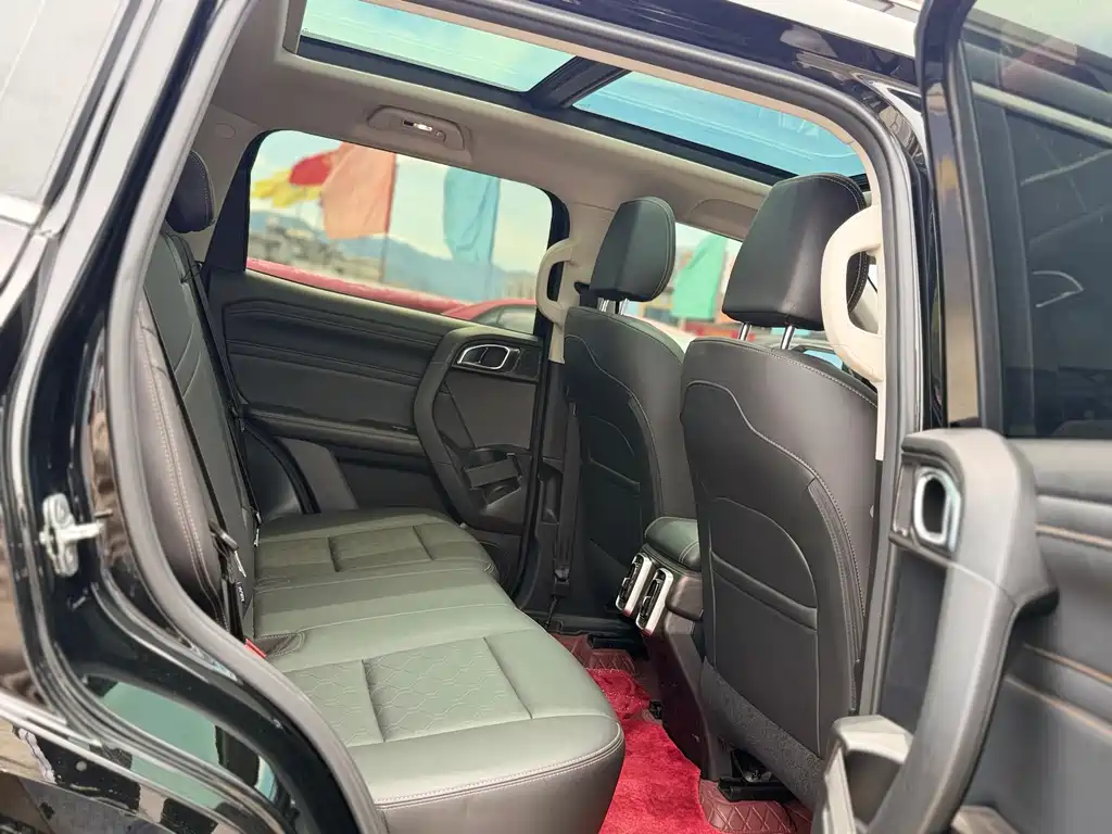 Haval Dog 2022 1.5T DCT Two-Wheel Drive Border Collie Edition