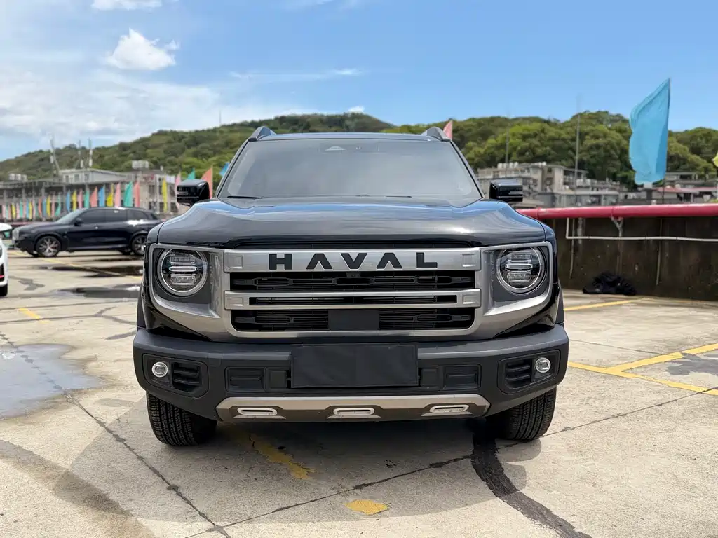 Haval Dog 2022 1.5T DCT Two-Wheel Drive Border Collie Edition