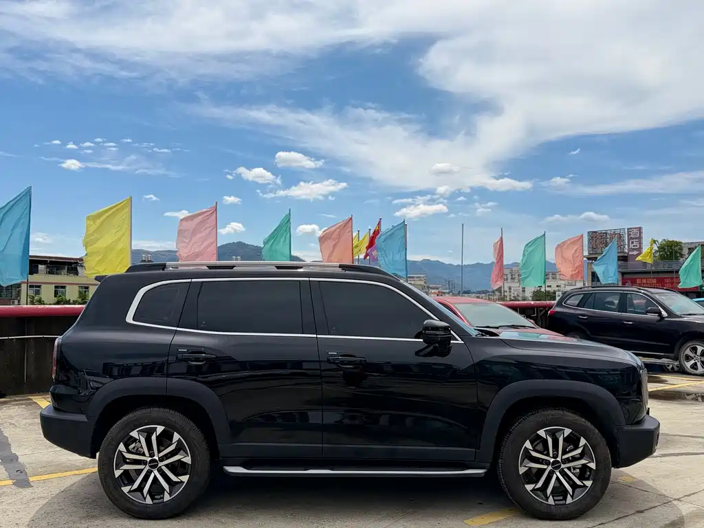 Haval Dog 2022 1.5T DCT Two-Wheel Drive Border Collie Edition