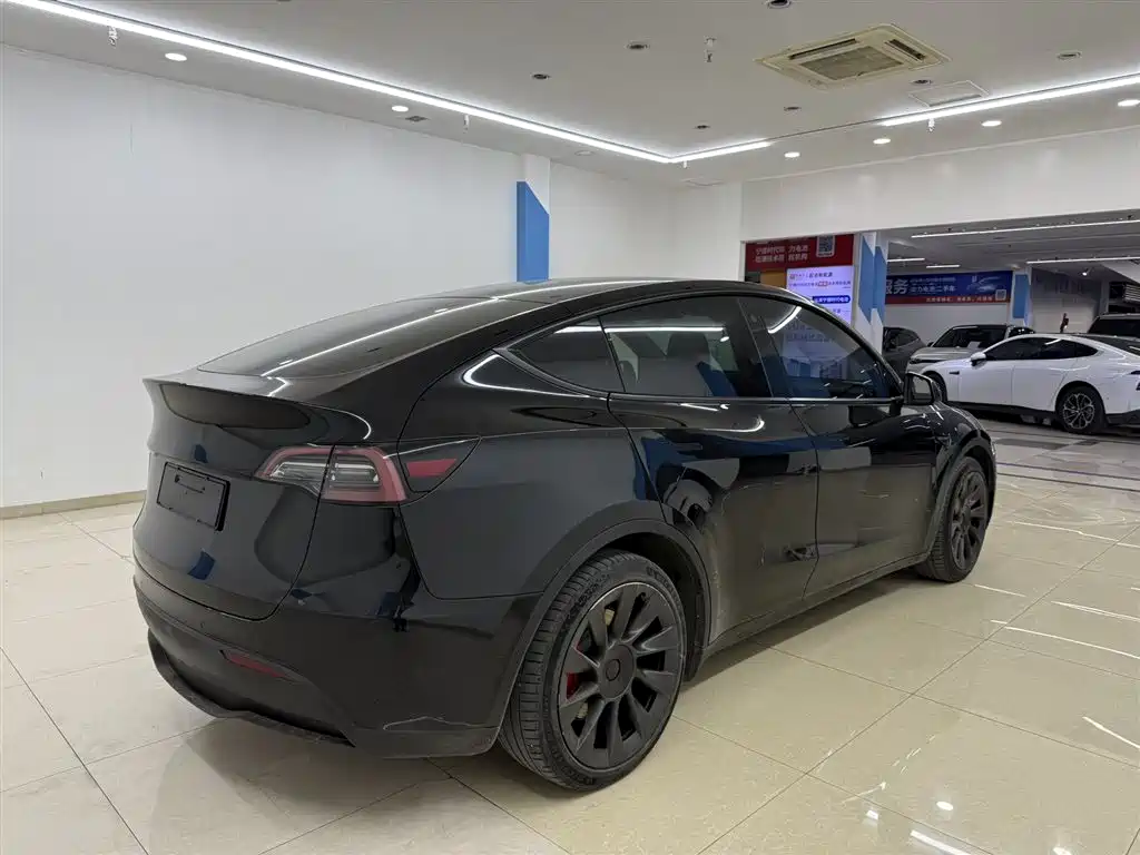 Model Y 2021 Standard Range Rear-Wheel Drive Edition