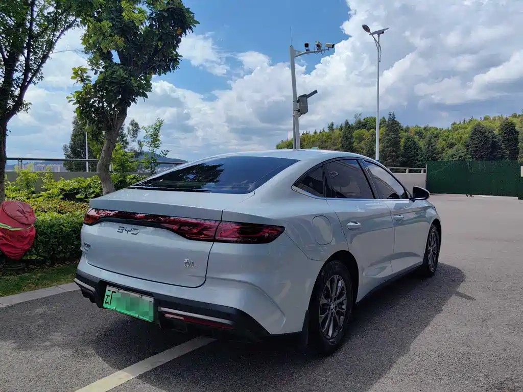 Qin L 2024 DM-i 80KM Leading Edition