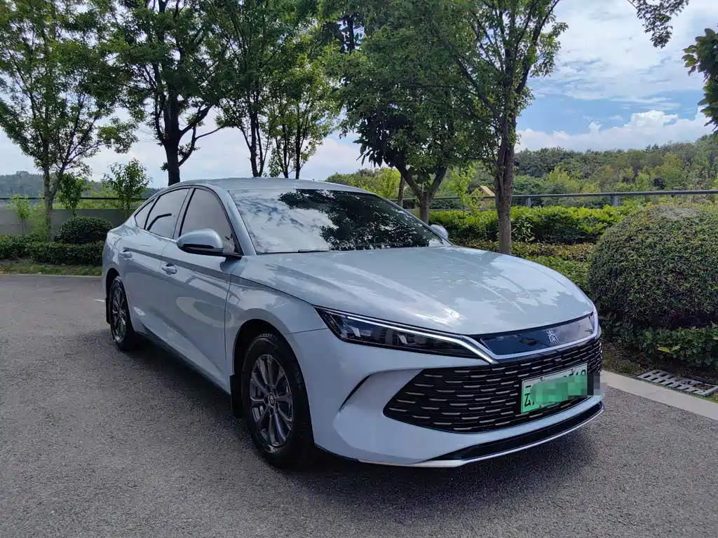 Qin L 2024 DM-i 80KM Leading Edition