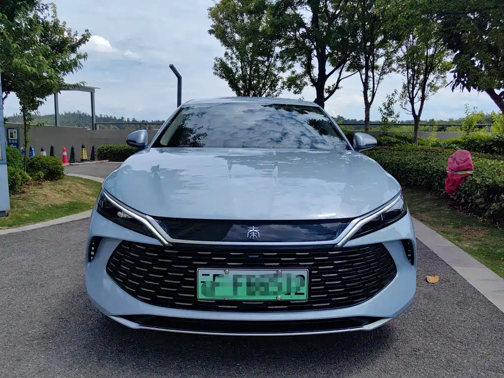 Qin L 2024 DM-i 80KM Leading Edition