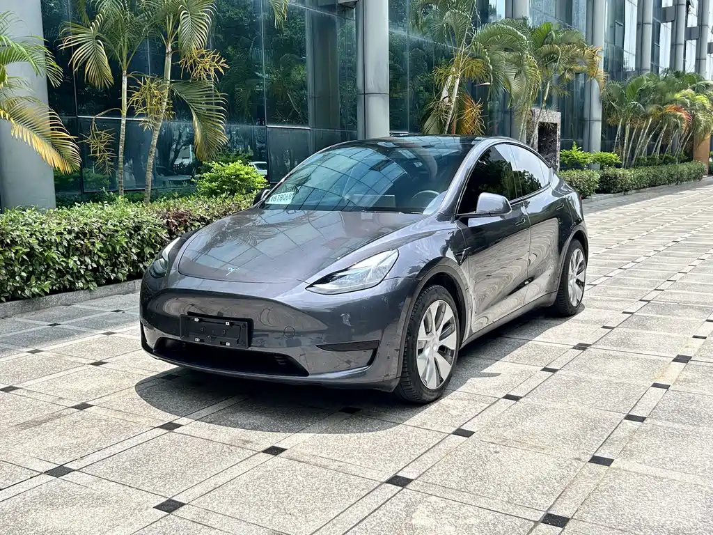 Model Y 2022 Rear-Wheel Drive Edition