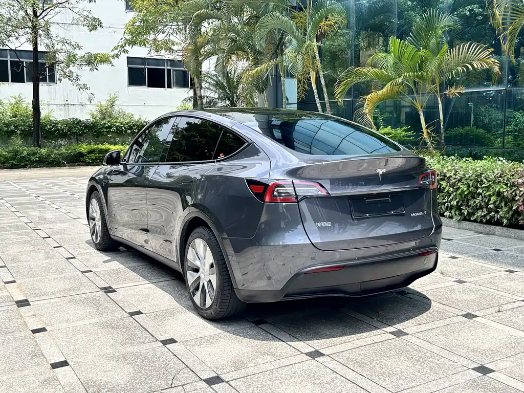 Model Y 2022 Rear-Wheel Drive Edition