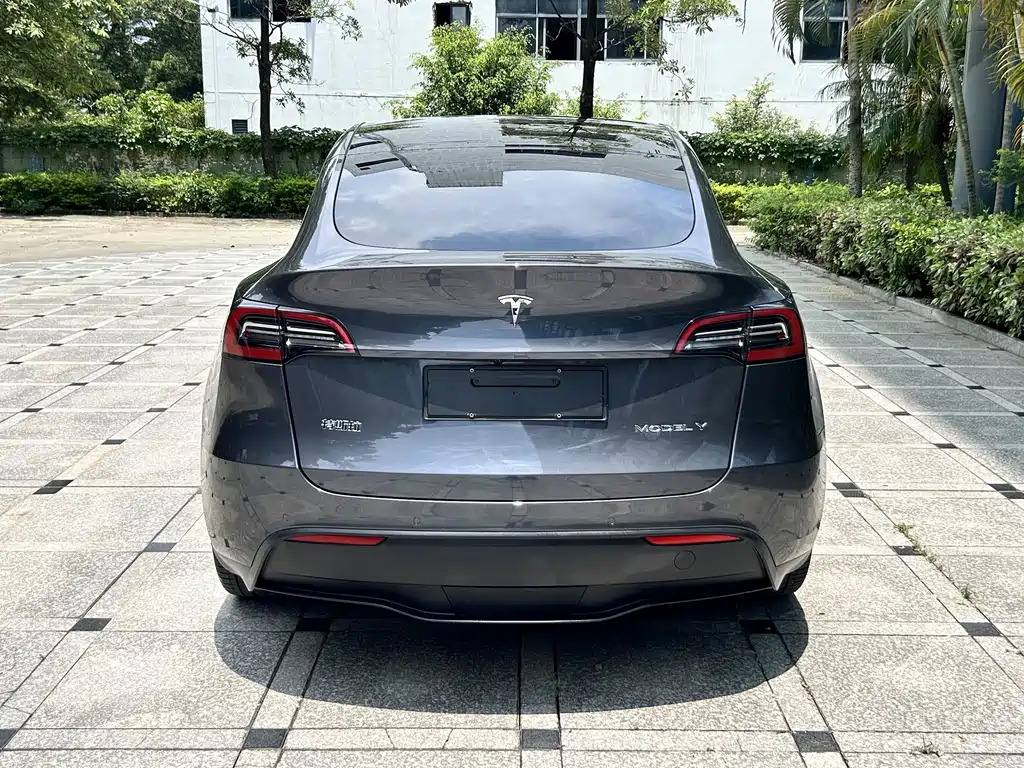 Model Y 2022 Rear-Wheel Drive Edition