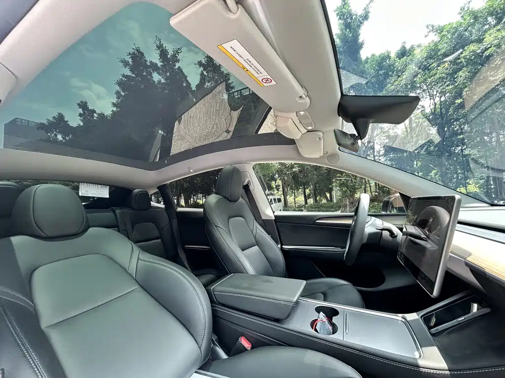 Model Y 2022 Rear-Wheel Drive Edition