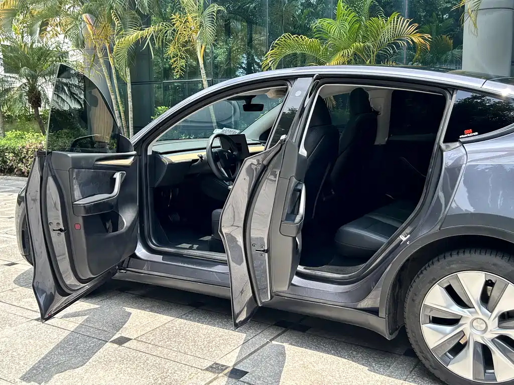 Model Y 2022 Rear-Wheel Drive Edition