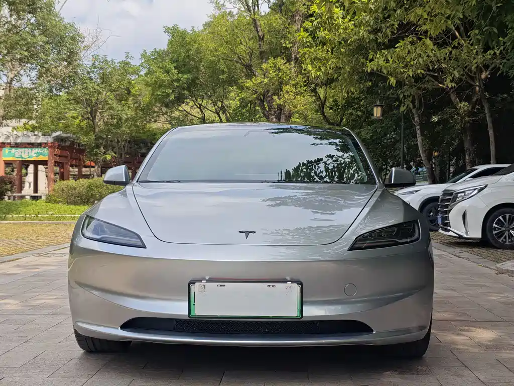 Model 3 2025 Rear-Wheel Drive Edition