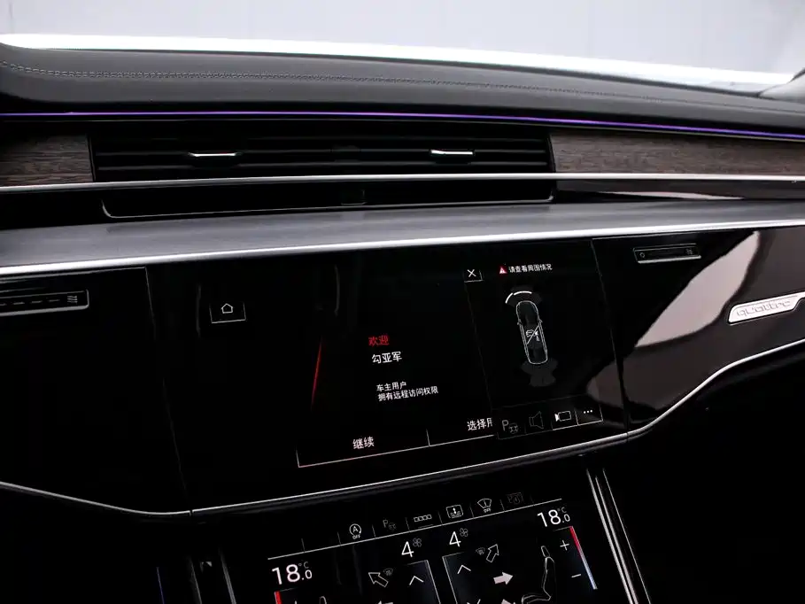 Audi A8 2023 model A8L 55 TFSI quattro flagship edition
