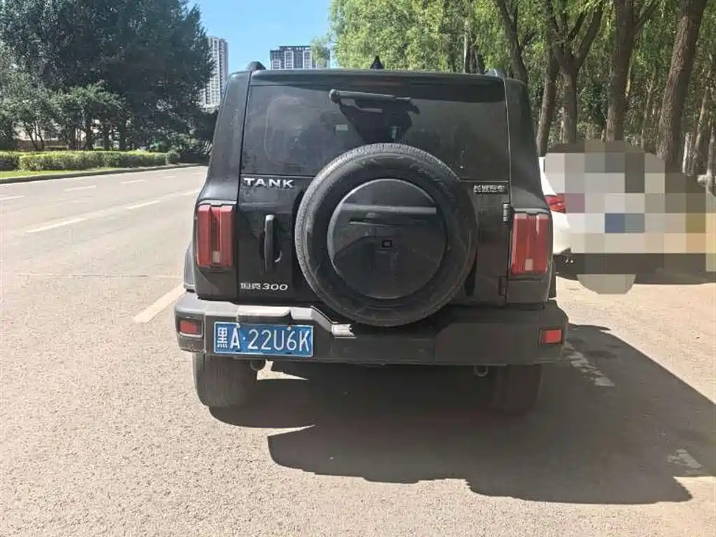 TANK 300 2023 Model Off-Road Edition 2.0T Conqueror