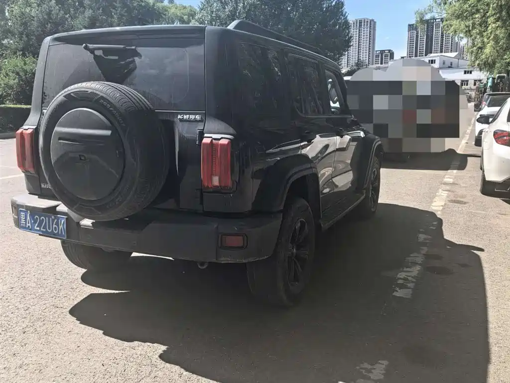 TANK 300 2023 Model Off-Road Edition 2.0T Conqueror