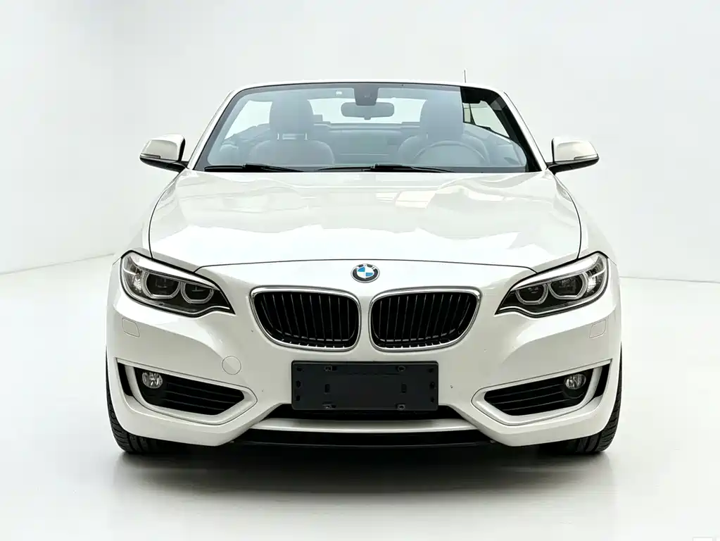 BMW 2 Series Convertible 2015 218i