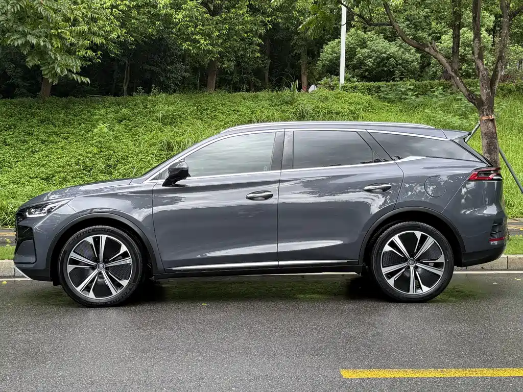 Tang New Energy 2022 DM-p 215KM All-Wheel Drive Flagship Model