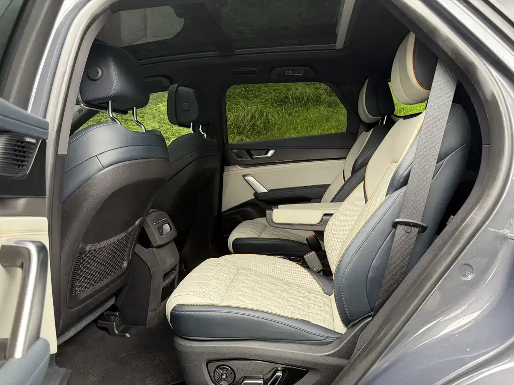 Tang New Energy 2022 DM-p 215KM All-Wheel Drive Flagship Model