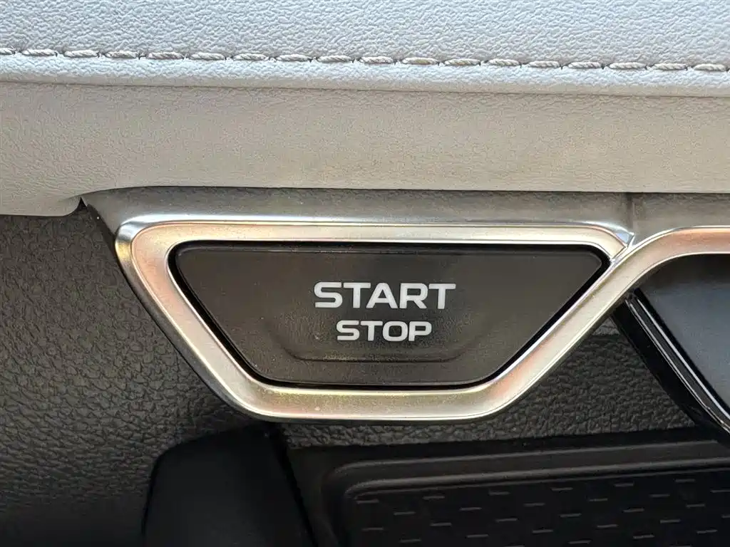 Starry 2021 2.0TD Prestige Edition