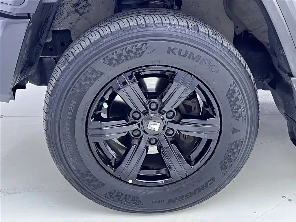 TANK 300 2021 Model Off-Road 2.0T Conqueror