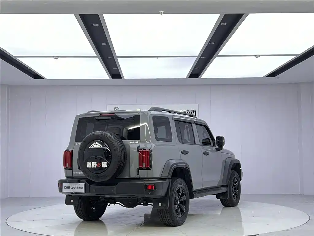 TANK 300 2021 Model Off-Road 2.0T Conqueror
