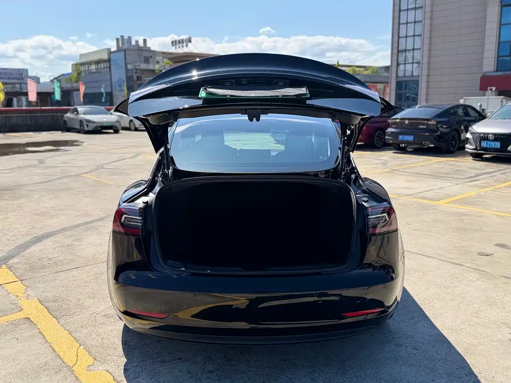 Model 3 Long Range Rear-Wheel Drive Upgrade 2020