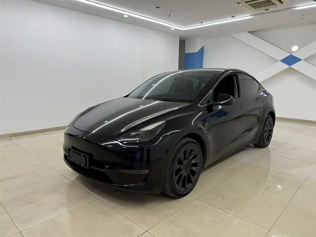 Model Y 2021 Standard Range Rear-Wheel Drive Edition