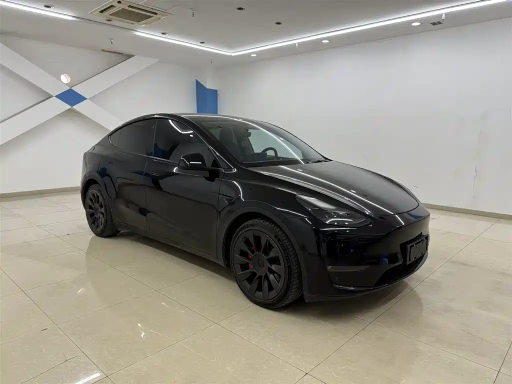 Model Y 2021 Standard Range Rear-Wheel Drive Edition