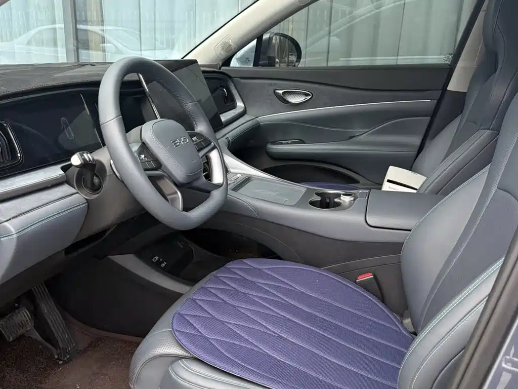 Sea Lion 07 DM-i 2025 Edition 150 Leading+ Model
