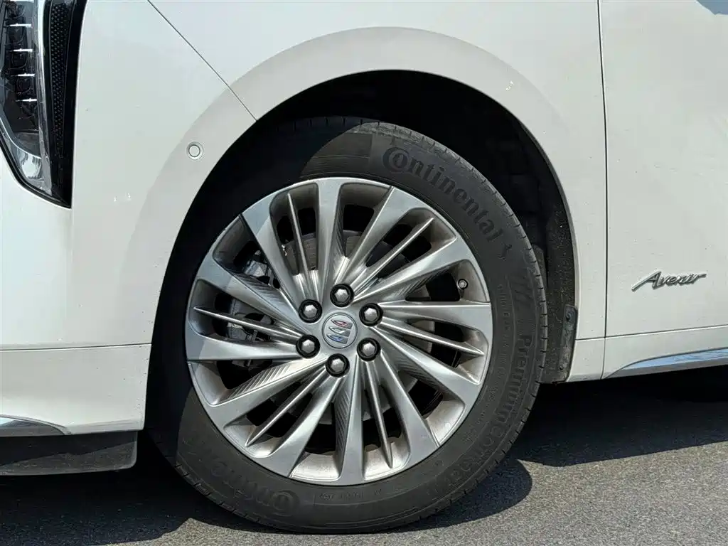 2023 Century 2.0T Six-Seater Yunshi Edition