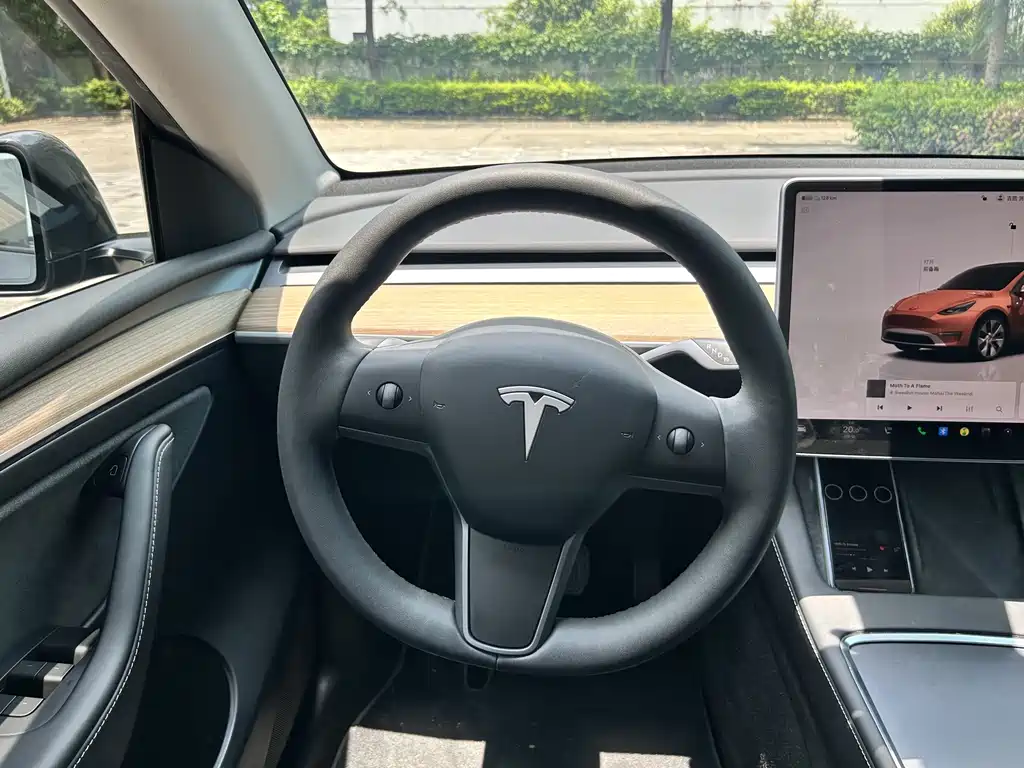 Model Y 2022 Rear-Wheel Drive Edition