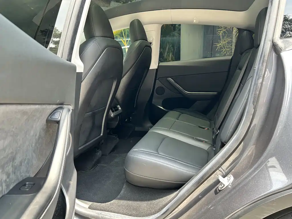 Model Y 2022 Rear-Wheel Drive Edition