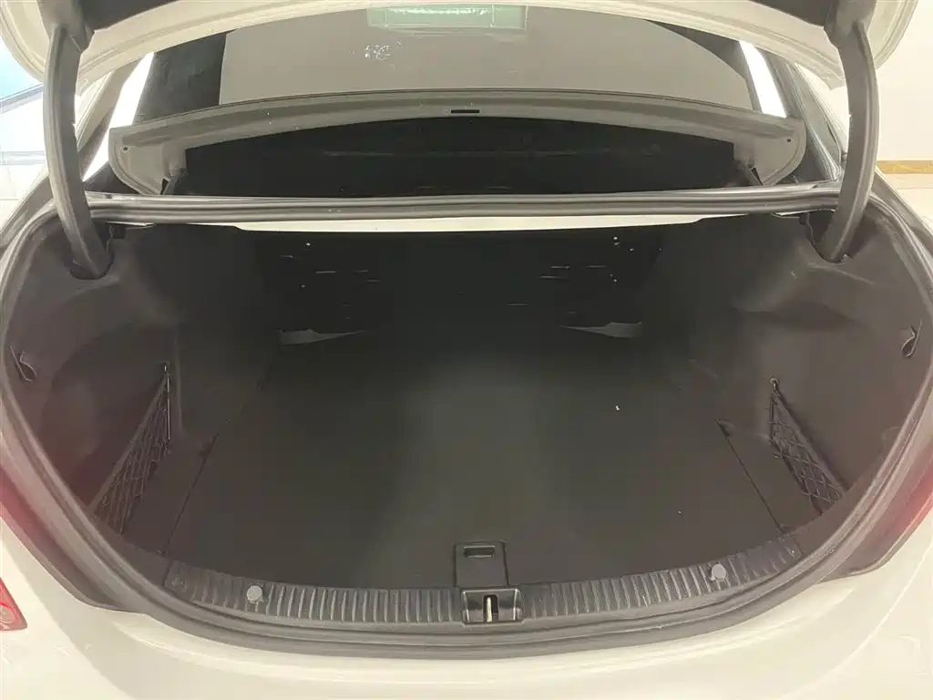 Mercedes-Benz C-Class 2021 C 260 L Sporty Starry Treasure Edition