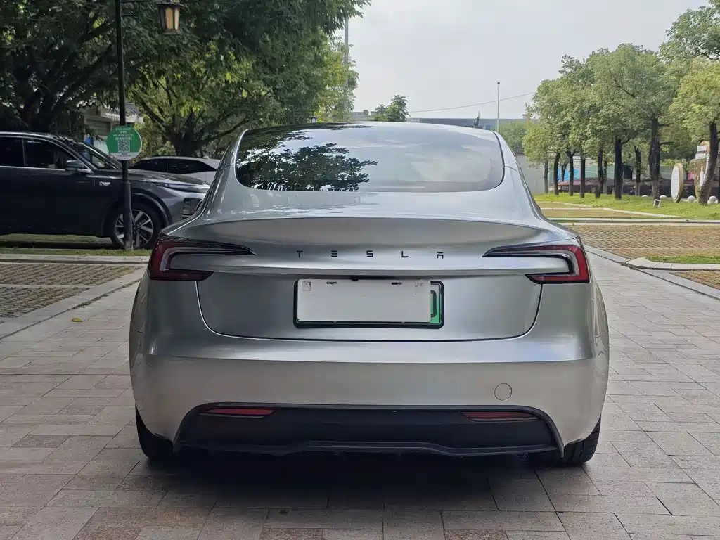 Model 3 2025 Rear-Wheel Drive Edition