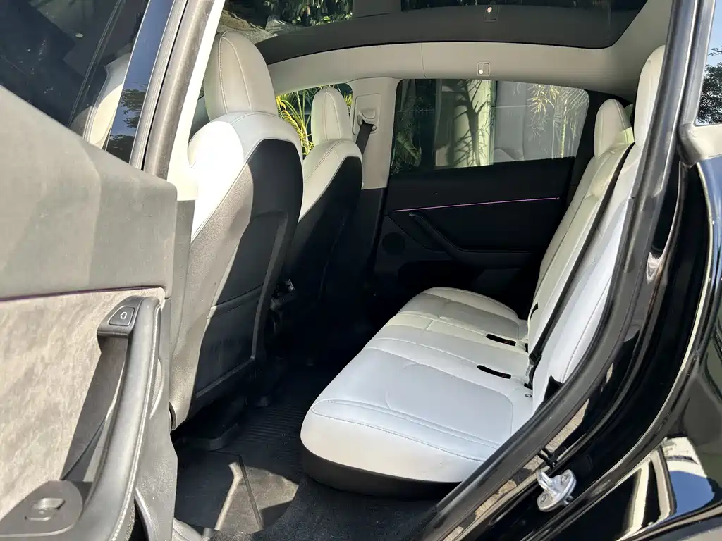 Model Y 2022 Rear-Wheel Drive Edition