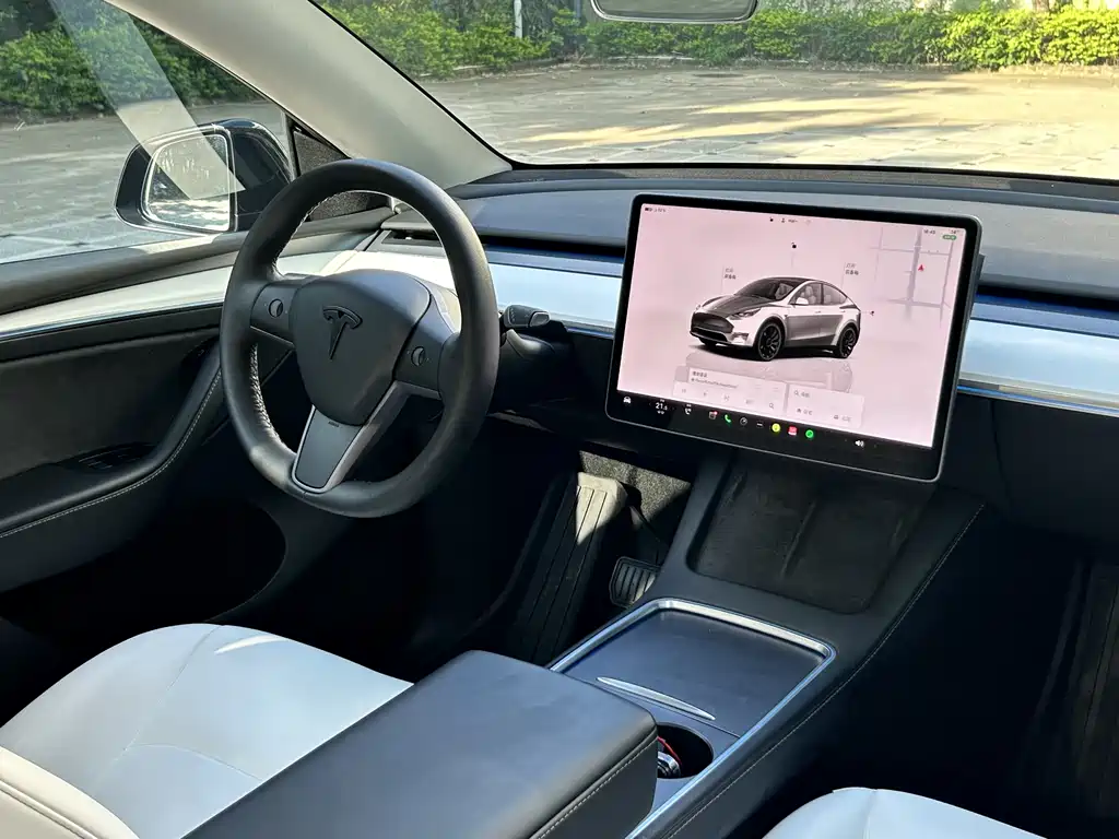 Model Y 2022 Rear-Wheel Drive Edition