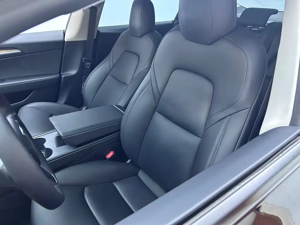 Model 3 Standard Range Rear-Wheel Drive Upgrade 2021