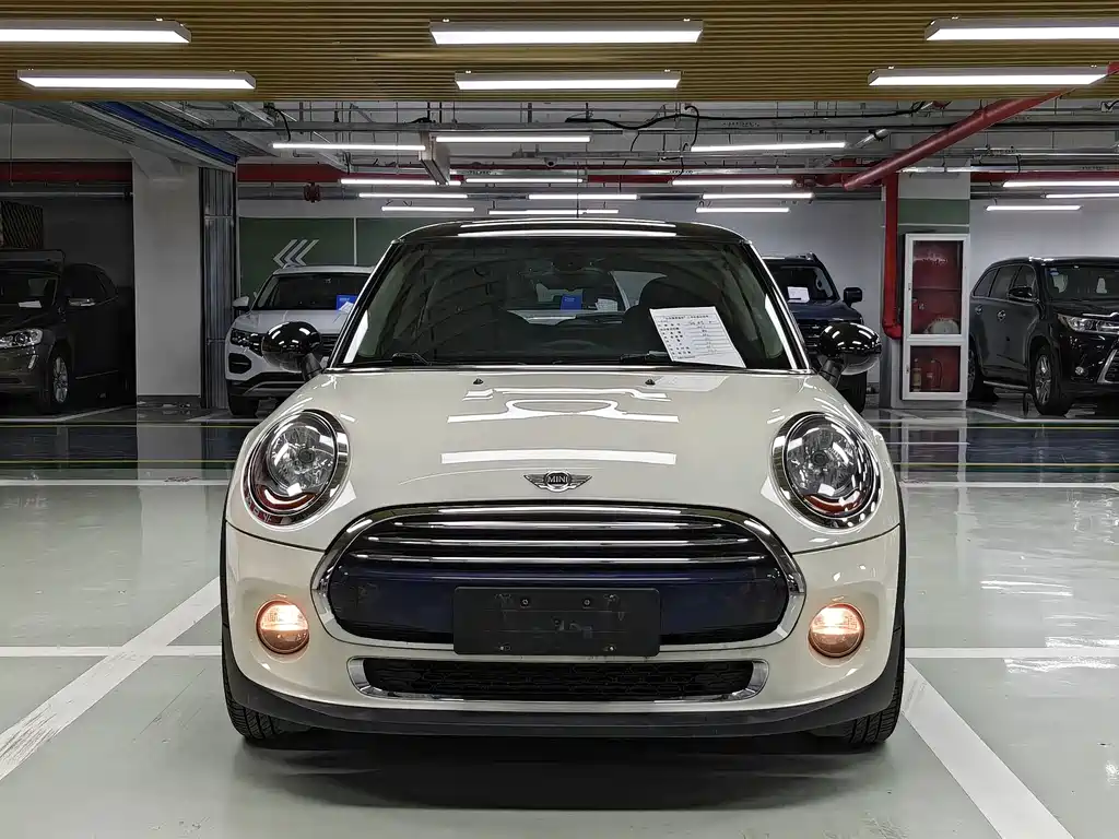 Mini 2014 1.5T Cooper Fun