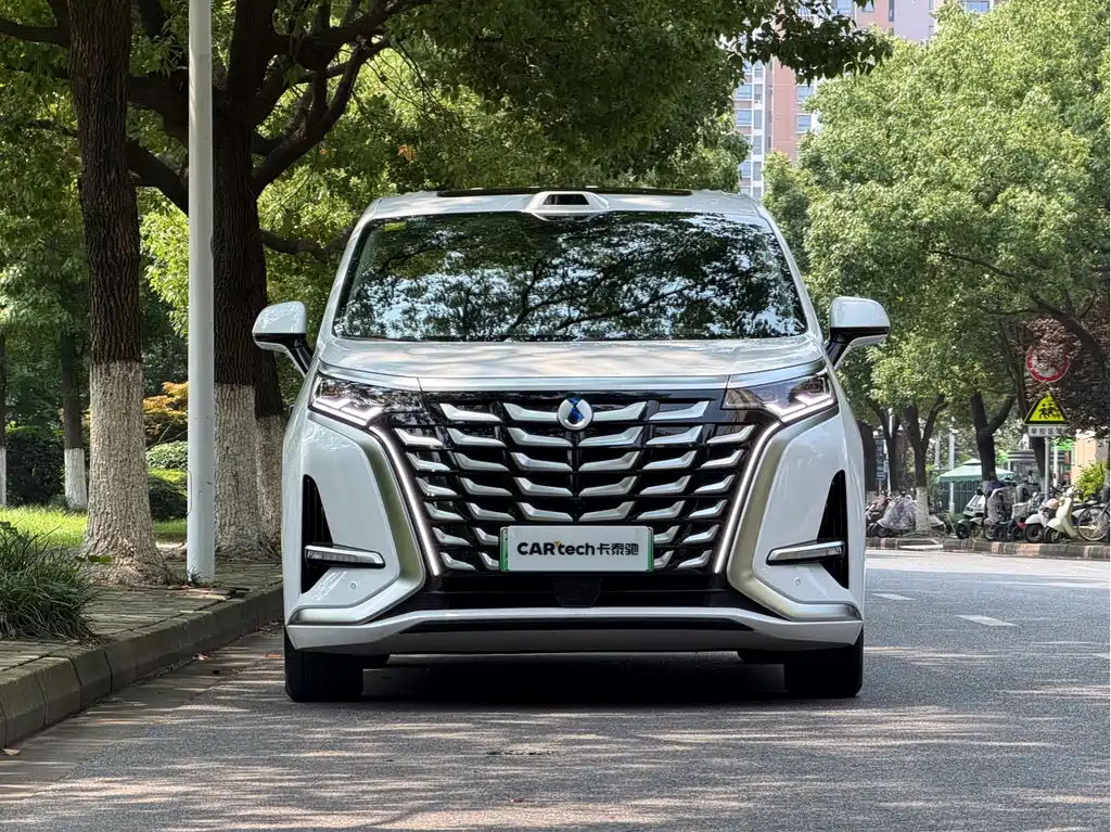 Tengri D9 2025 Model DM-i Intelligent Driving Edition 1020 All-Wheel Drive Prestige Version