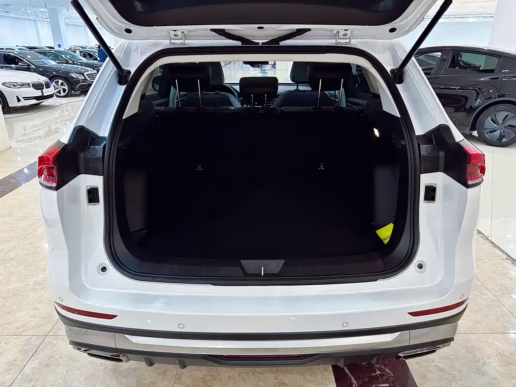 Haval H6 2021 Model National Style Edition 1.5T Automatic Champion Edition