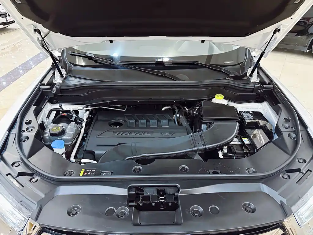 Haval H6 2021 Model National Style Edition 1.5T Automatic Champion Edition