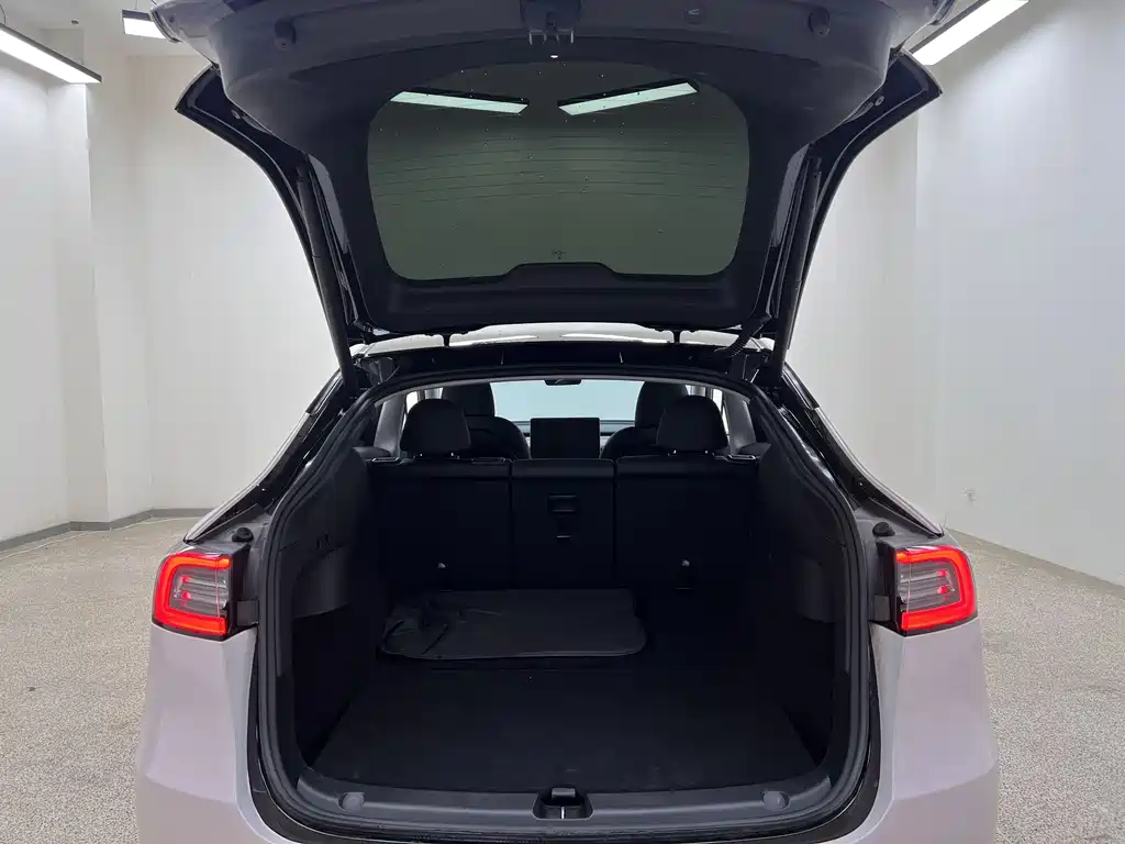 Model Y 2022 Performance All-Wheel Drive