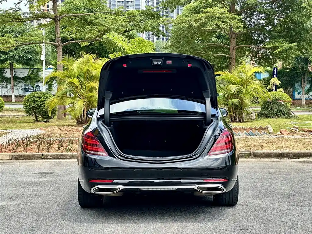 Mercedes S-Class 2020 S 350 L Business Edition Collectors' Edition