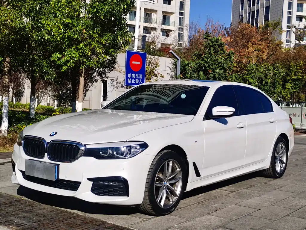 BMW 5 Series 2019 525Li M Sport Package