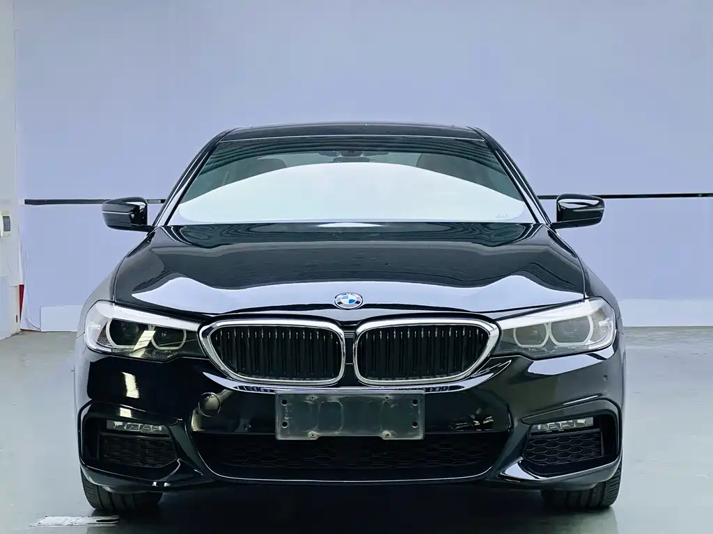 BMW 5 Series 2019 530Li Leading Edition M Sport Package