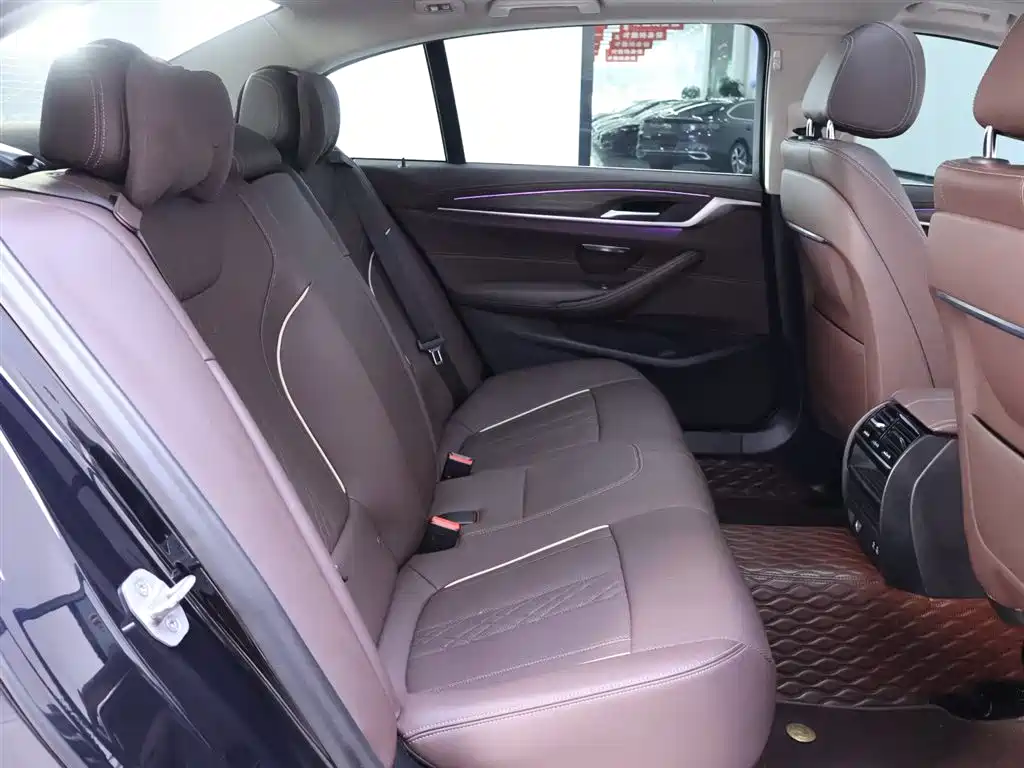 BMW 5 Series 2021 530Li Leading Edition Luxury Package