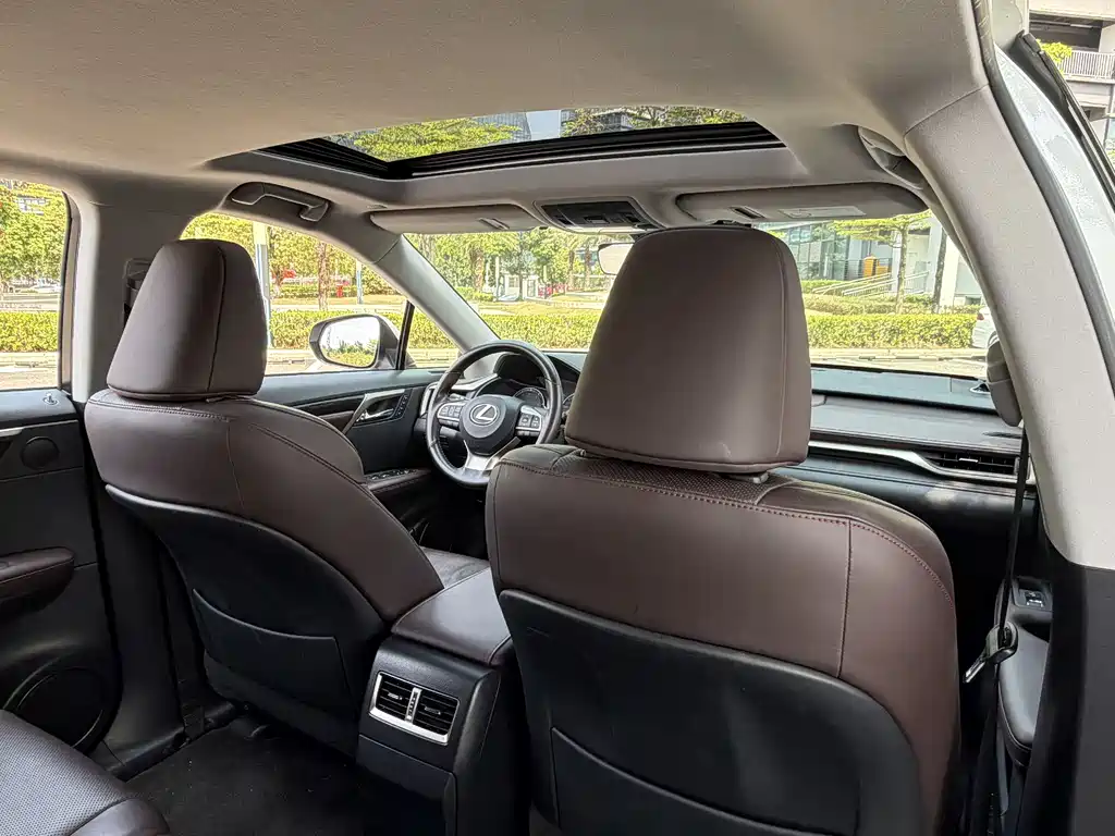 Lexus RX 2020 300 Two-wheel Drive Comfort Edition National V