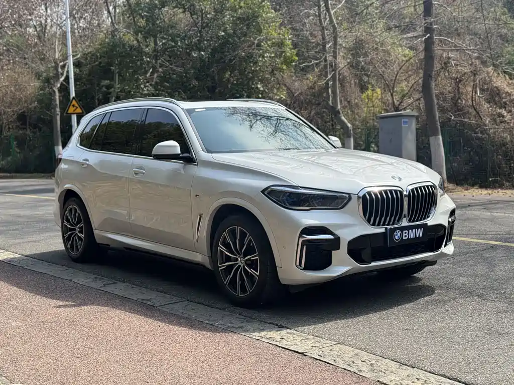BMW X5 2022 Model Refresh xDrive 30Li M Sport Package