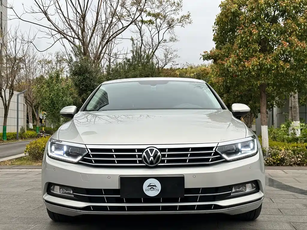 Magotan 2018 330TSI DSG Luxury Edition
