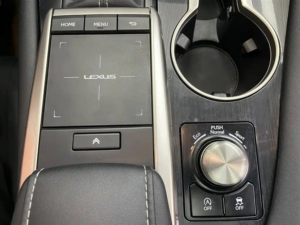 Lexus RX 2020 Facelift 300 Two-wheel-drive Elite Edition